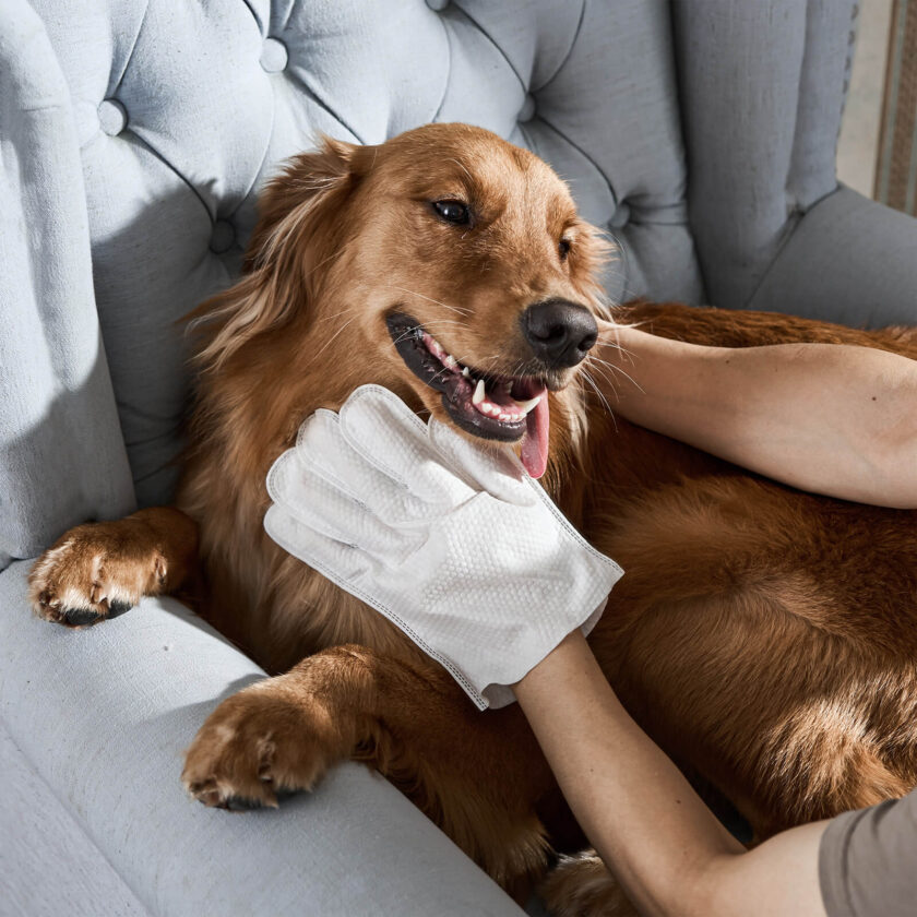 Pet Bathing Wipes for Dogs & Cats, Cleaning & Deodorizing Grooming Gloves - Image 10