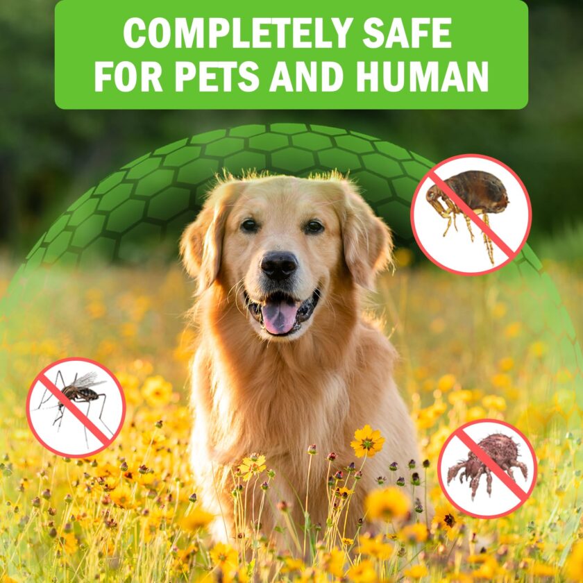 Flea & Tick Essential Oil Pendant Collar Dogs - Image 4