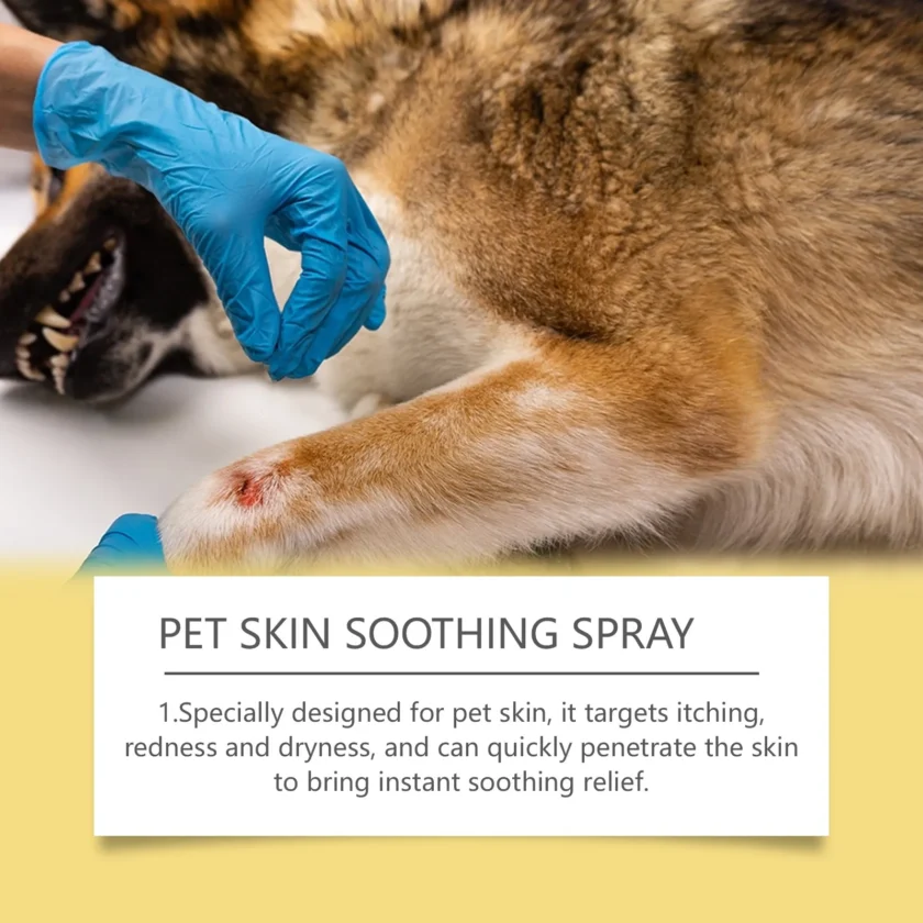 Pet Skin Treatment Spray for Fungal & Bacterial Infections - Image 12