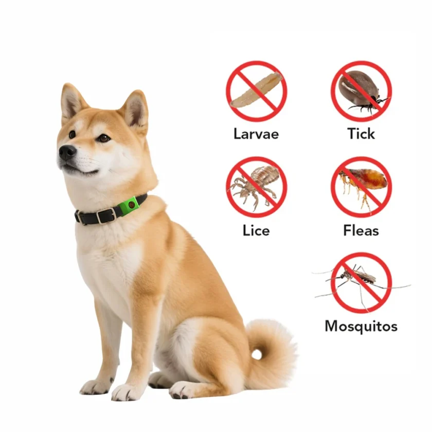 Flea & Tick Essential Oil Pendant Collar Dogs - Image 12