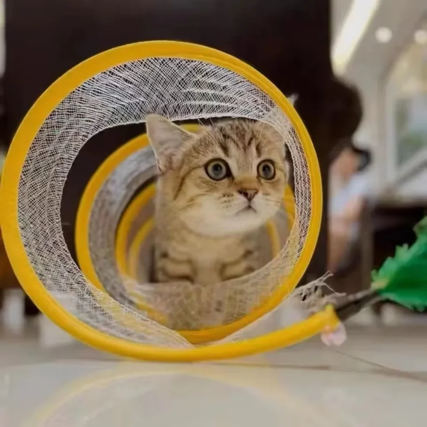 Folded Cat Tunnel - Image 6