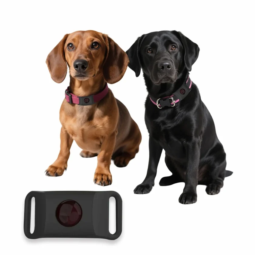 Flea & Tick Essential Oil Pendant Collar Dogs - Image 14
