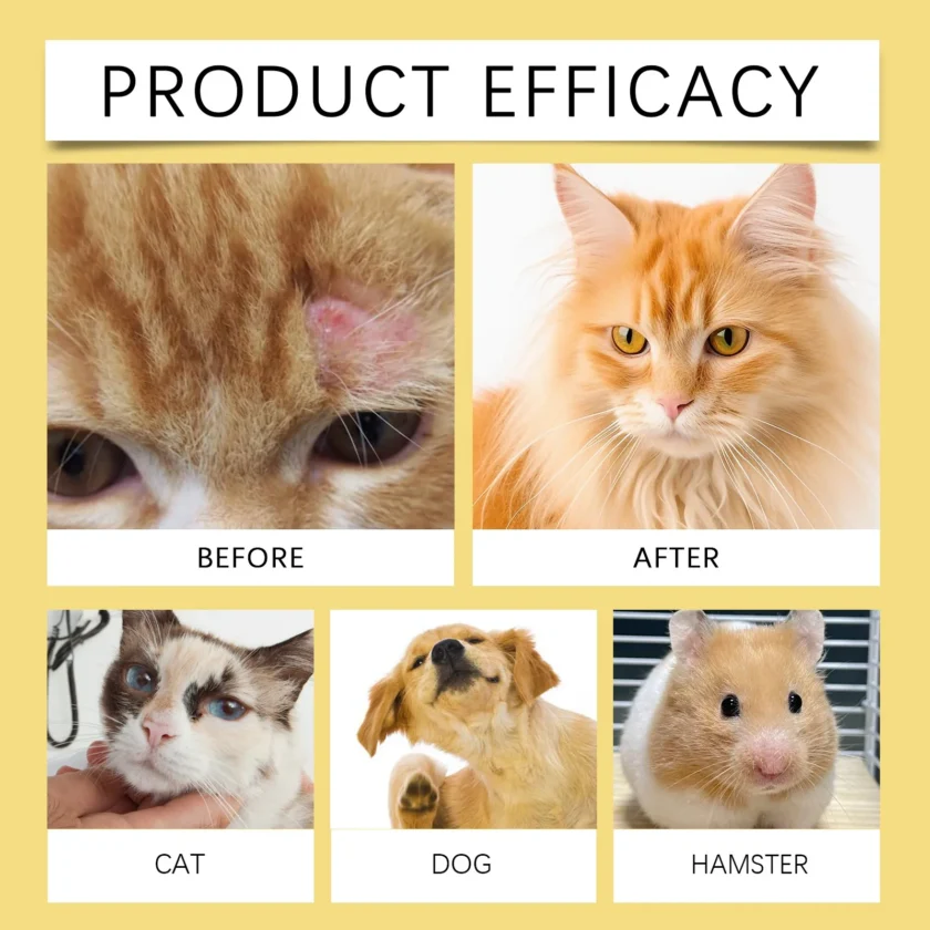 Pet Skin Treatment Spray for Fungal & Bacterial Infections - Image 7